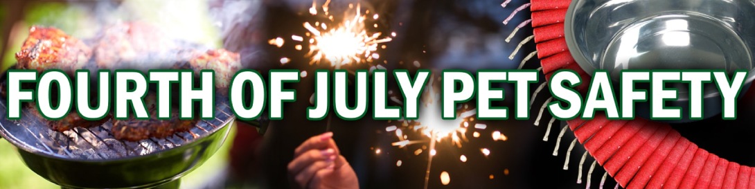 Pet Fireworks Safety for the Fourth of July
