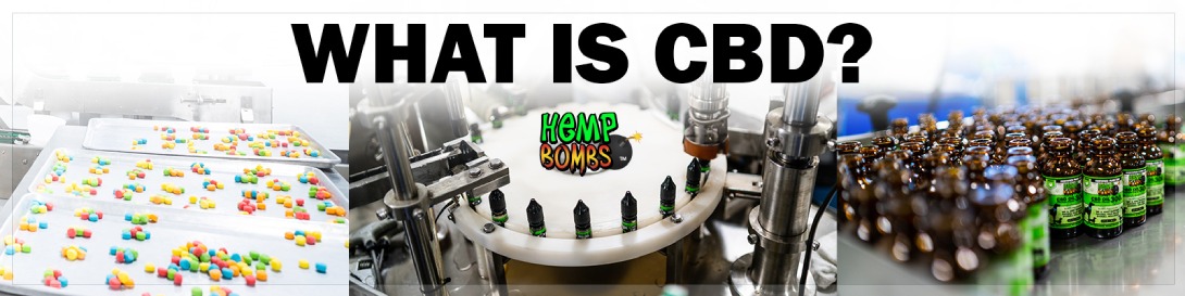 What Is CBD?